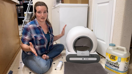Video review - Purrfect Clean