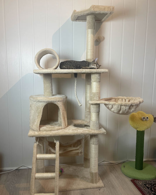 MaxTec CatCastle 138cm